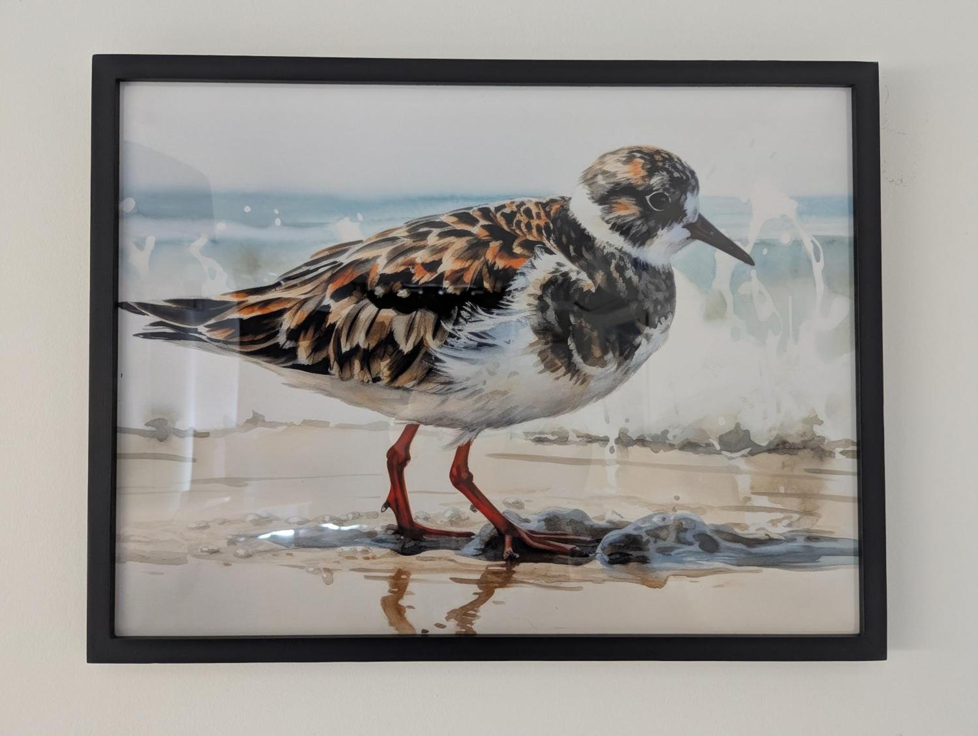 Turnstone Casa de Férias